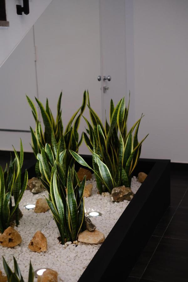 Domea Superior Rooms Bed And Breakfast Reggio Calabria Exterior photo